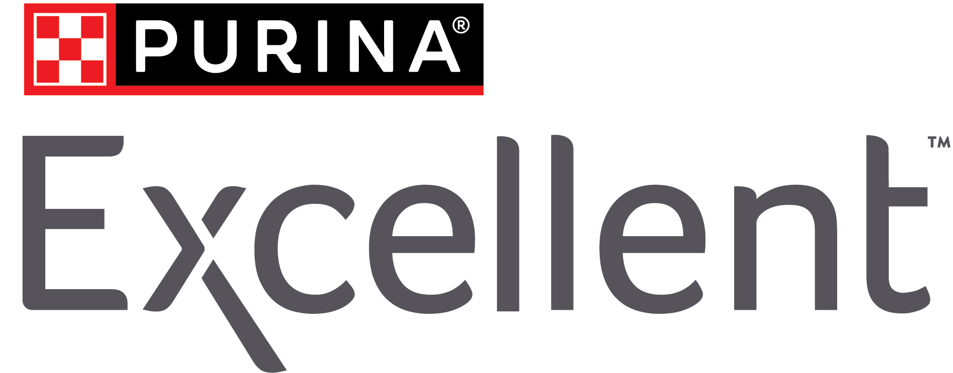 Logo EXCELLENT